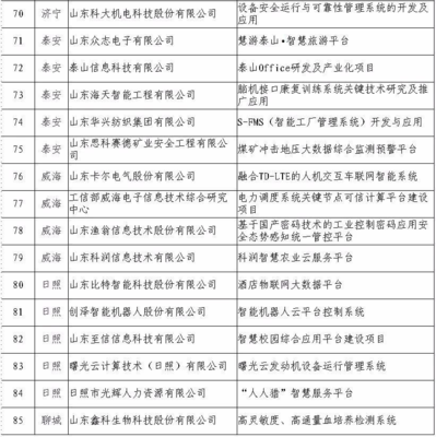 日照5家企業(yè)入選省級重點項目名單，引領(lǐng)網(wǎng)絡(luò)與信息安全軟件開發(fā)新浪潮